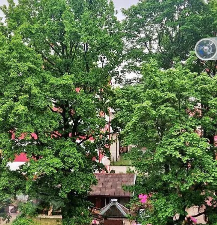 Brassy Apartment 里加 外观 照片